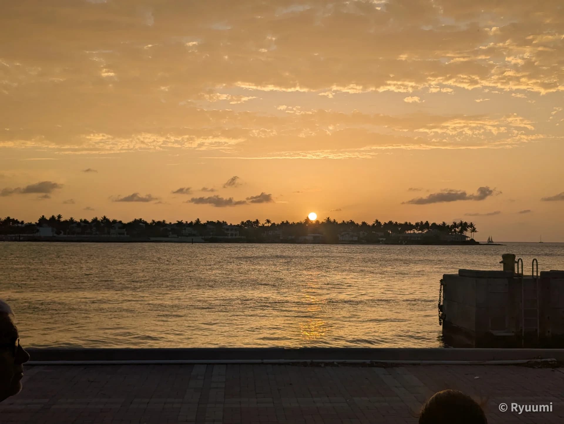 Key West Dusk and Exquisite Seafood Dinner Sub 1