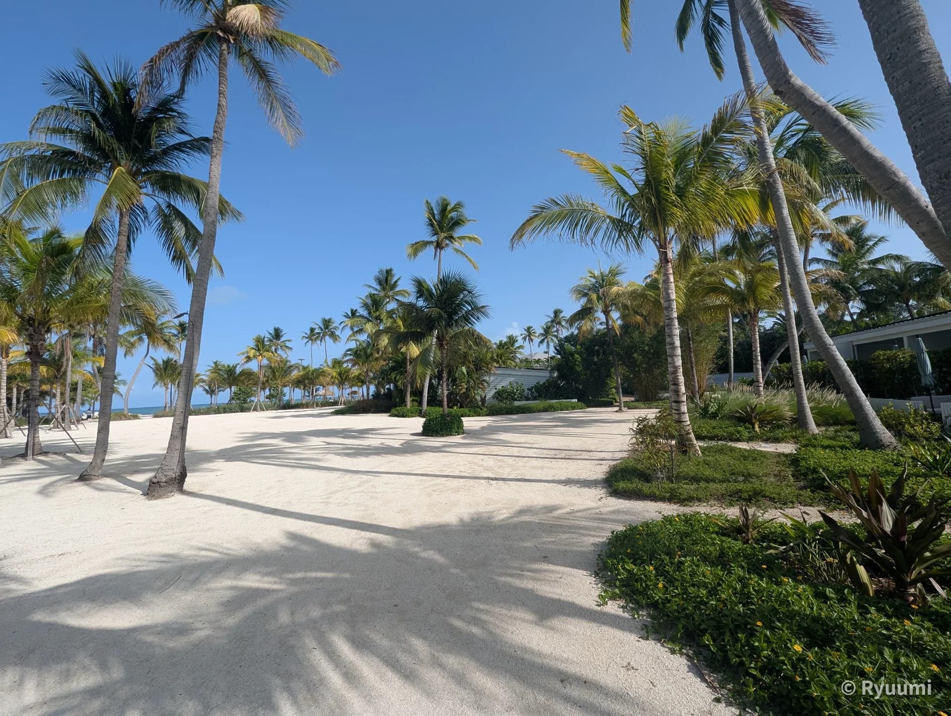 Accommodation Review 2: Islander Resort (Islamorada) Main