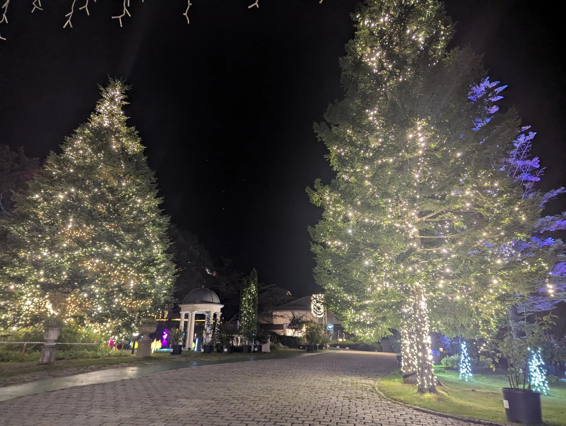 Hotel Sunvalley Nasu: An Ultimate Healing Space and Magical Illuminations Main